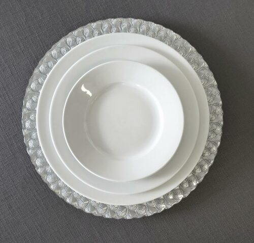 Classic White Rimmed Plates