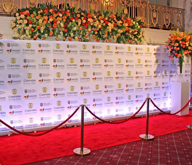 Red Carpet Runner